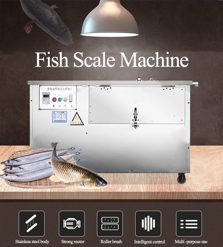 Fish Scale Machine1.jpg