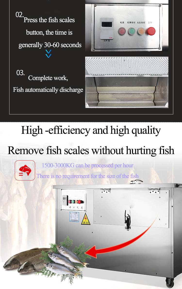 Fish Scale Machine3.jpg