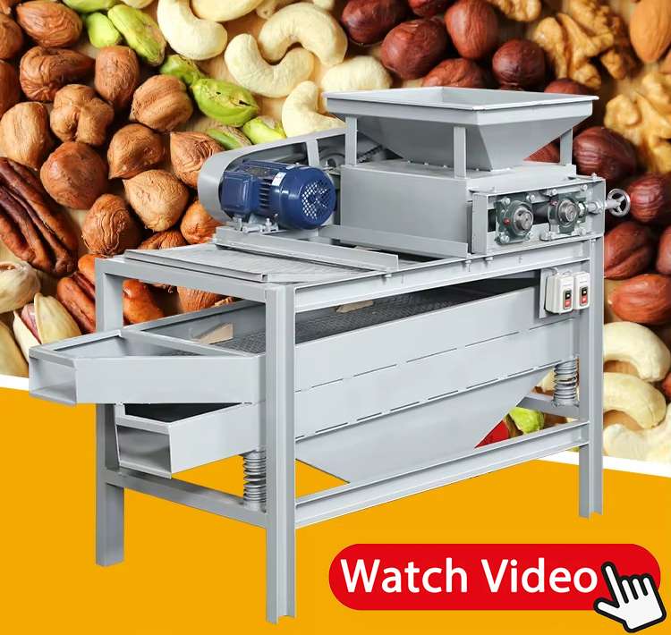 Pine-Nut-Shelling-Machine1.jpg