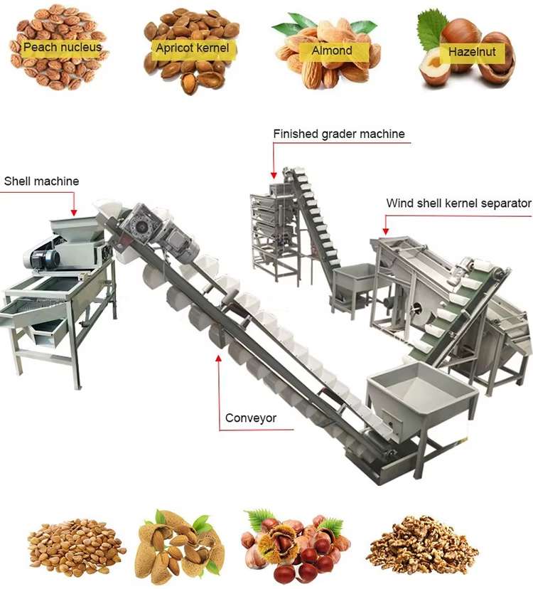 Pine-Nut-Shelling-Machine3.jpg