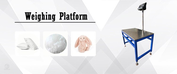 Digital Platform Scale